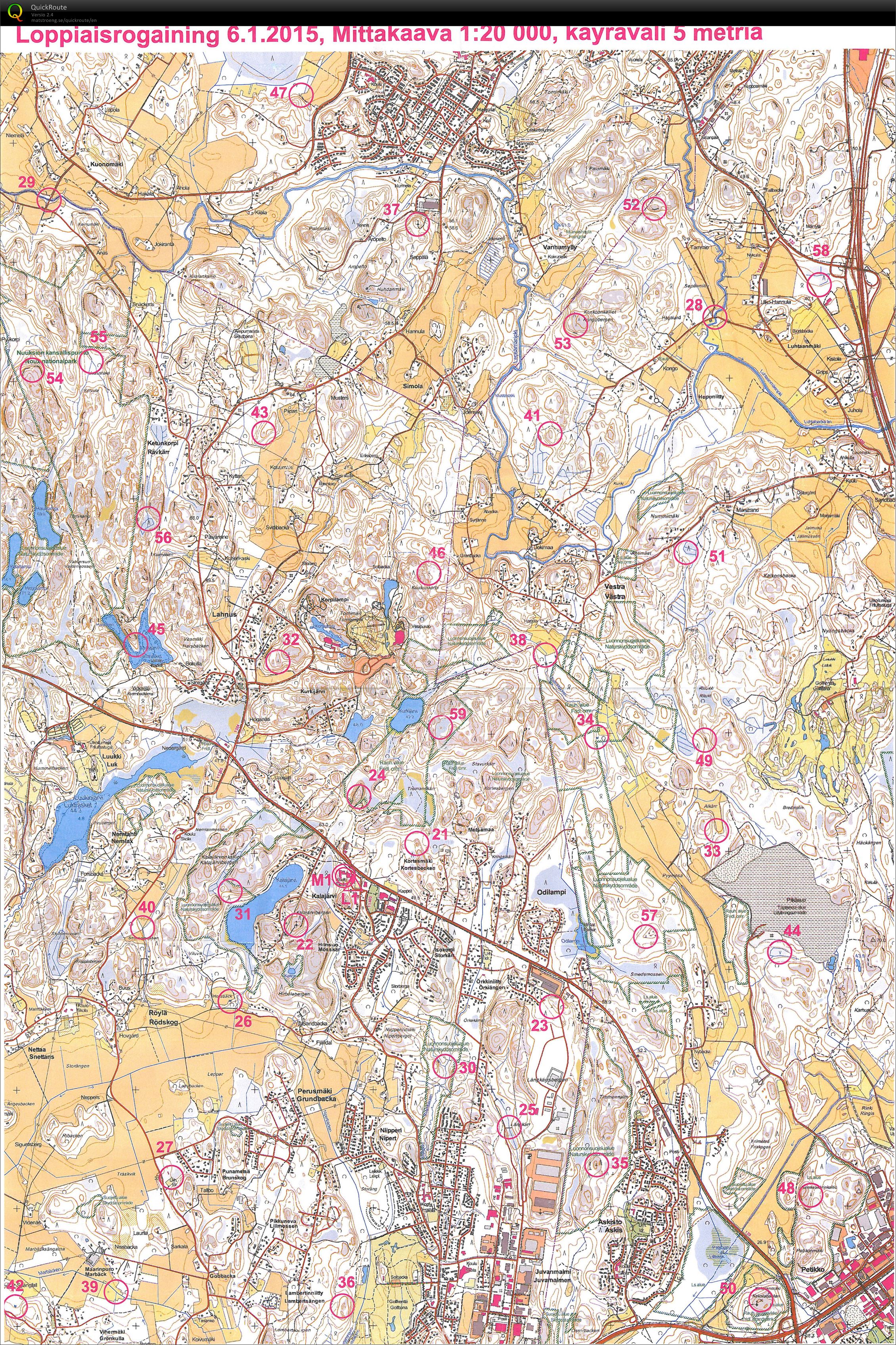 Loppiaisrogaining (2015-01-06)