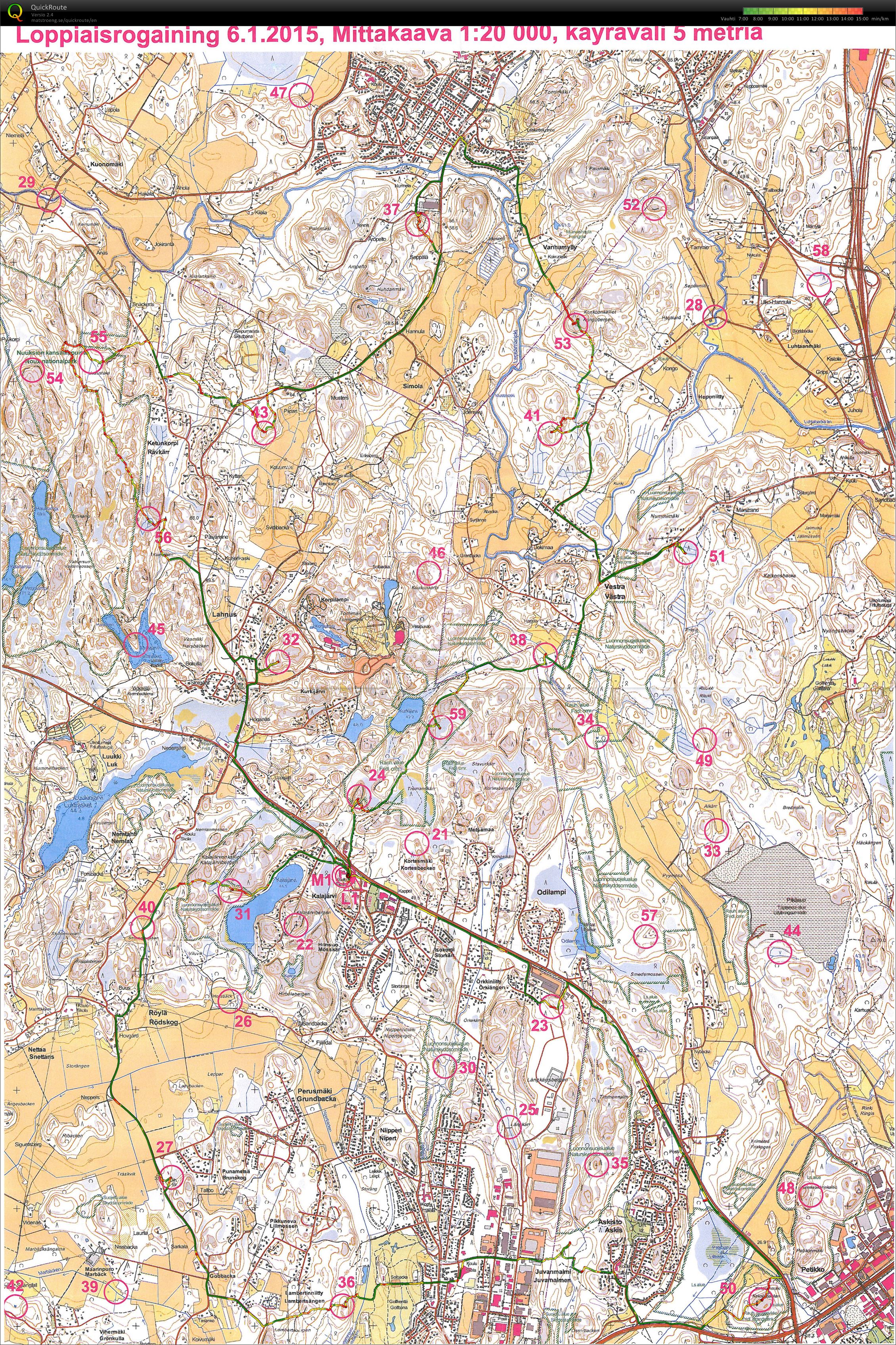 Loppiaisrogaining (2015-01-06)