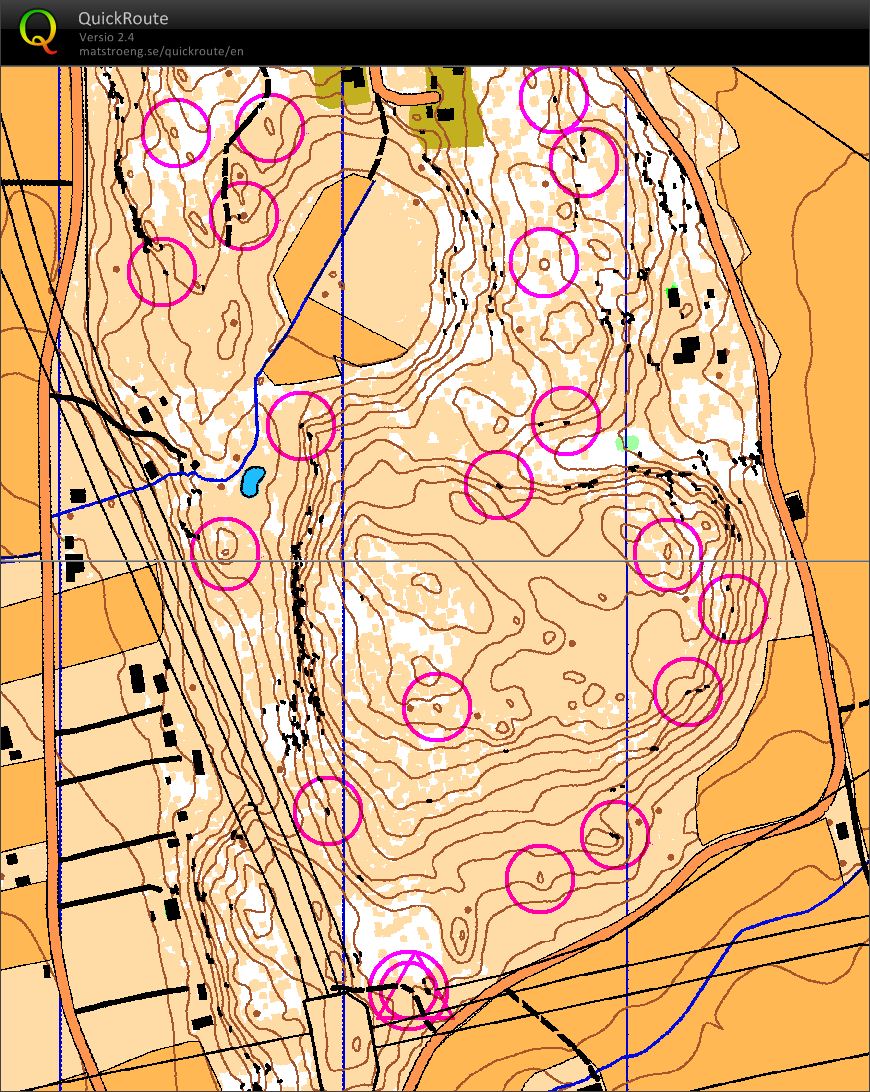 Viikari (04.10.2012)