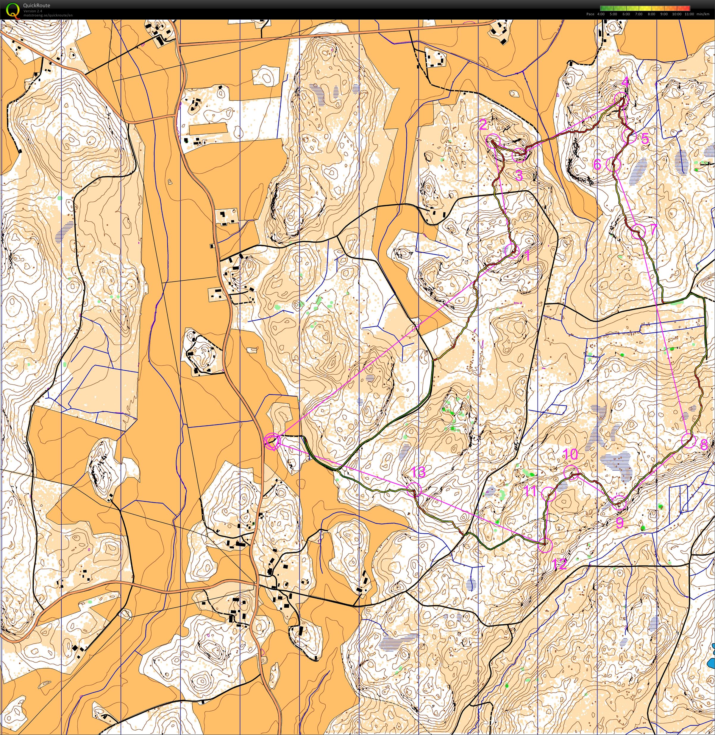 Oma reeni, Laasinkallio (23/10/2012)