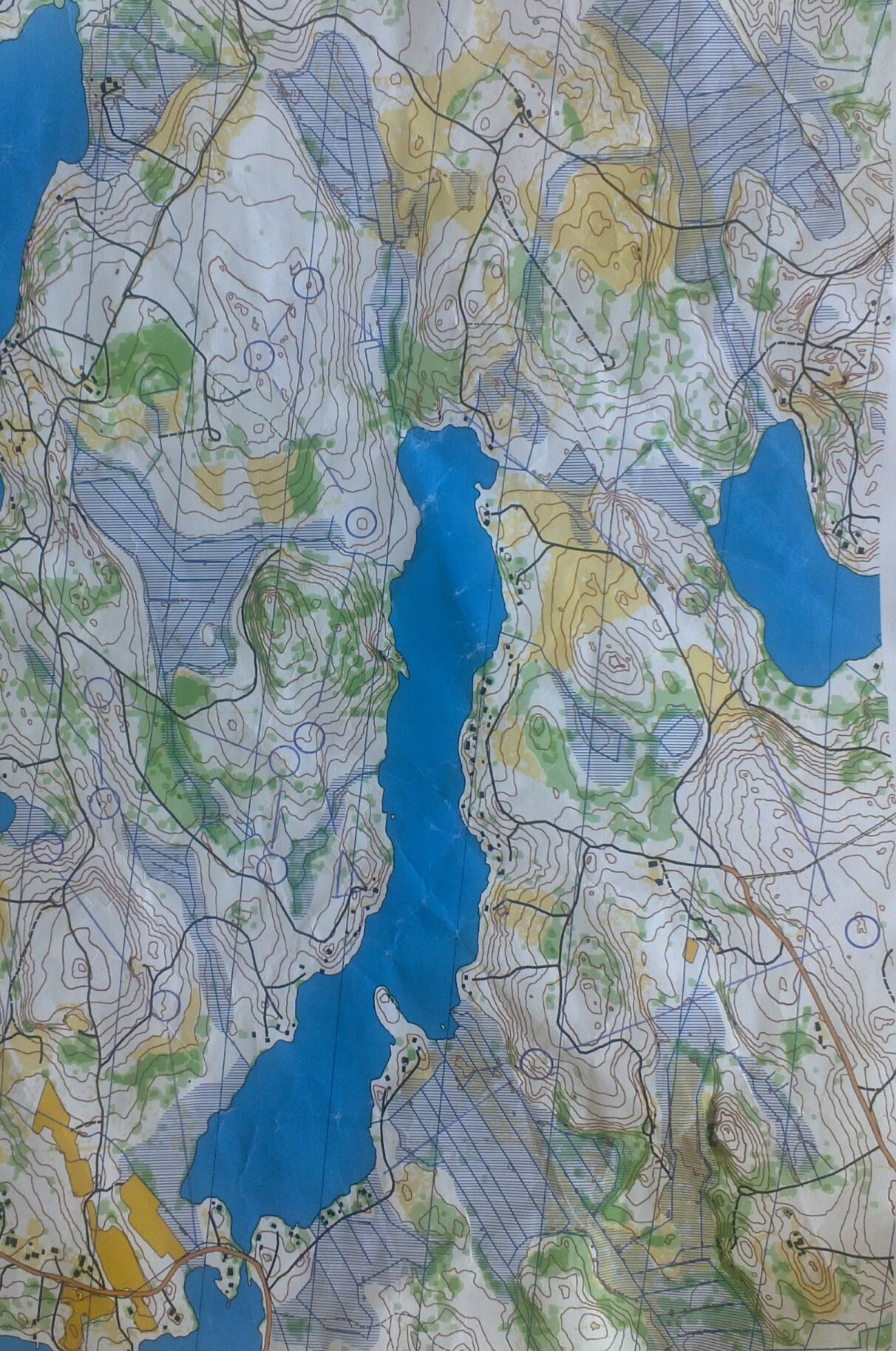 around the lake (02/08/2013)