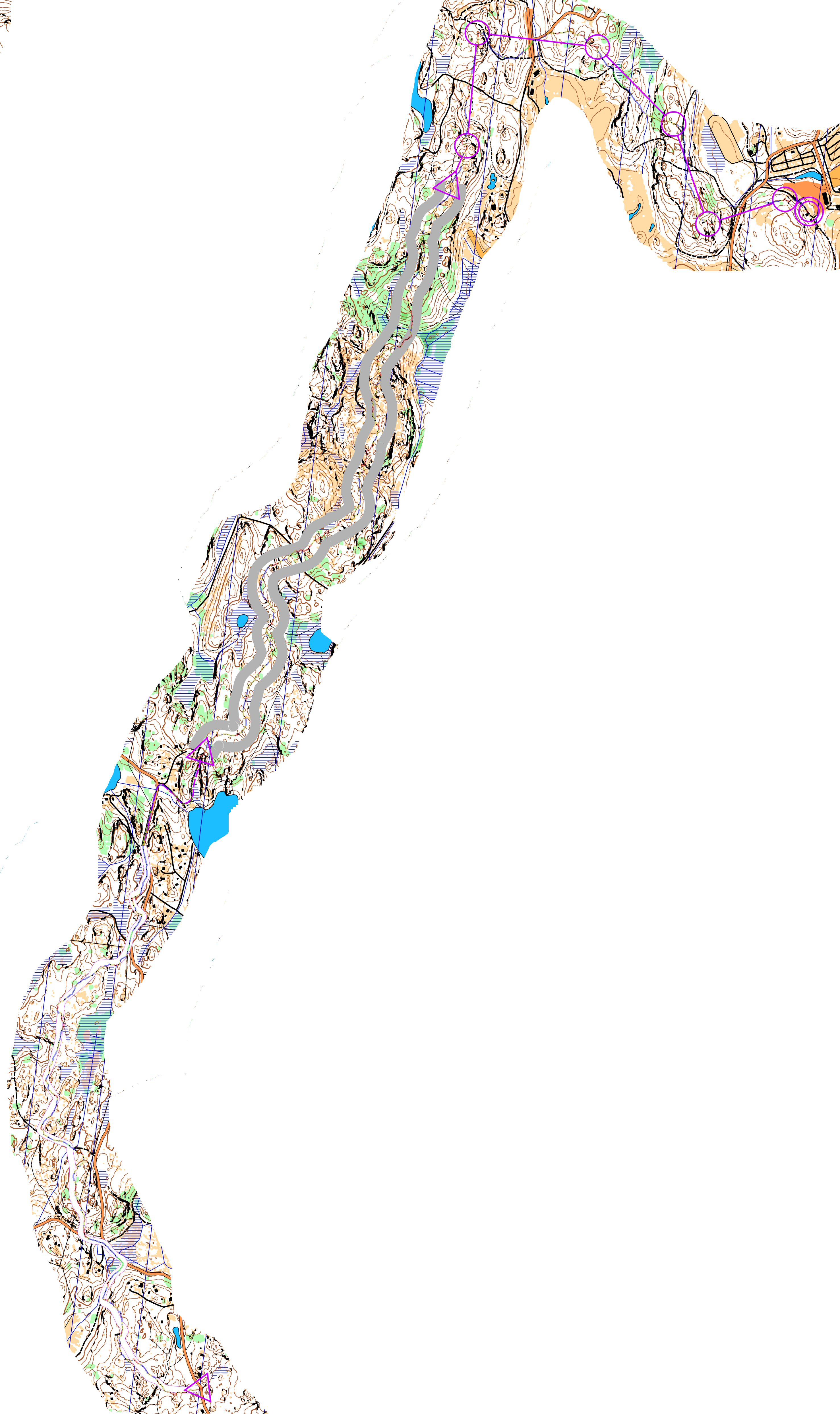 Corridors on Karttapullautin map.  (10/11/2013)