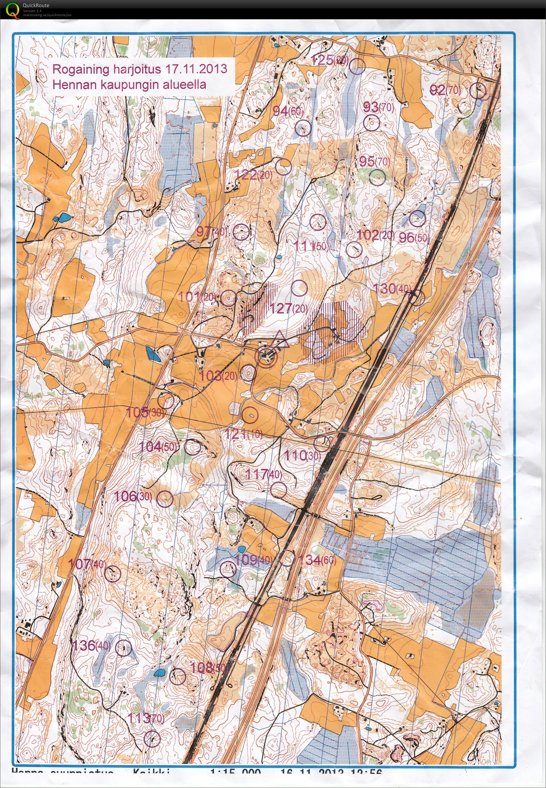 Henna roga (17-11-2013)