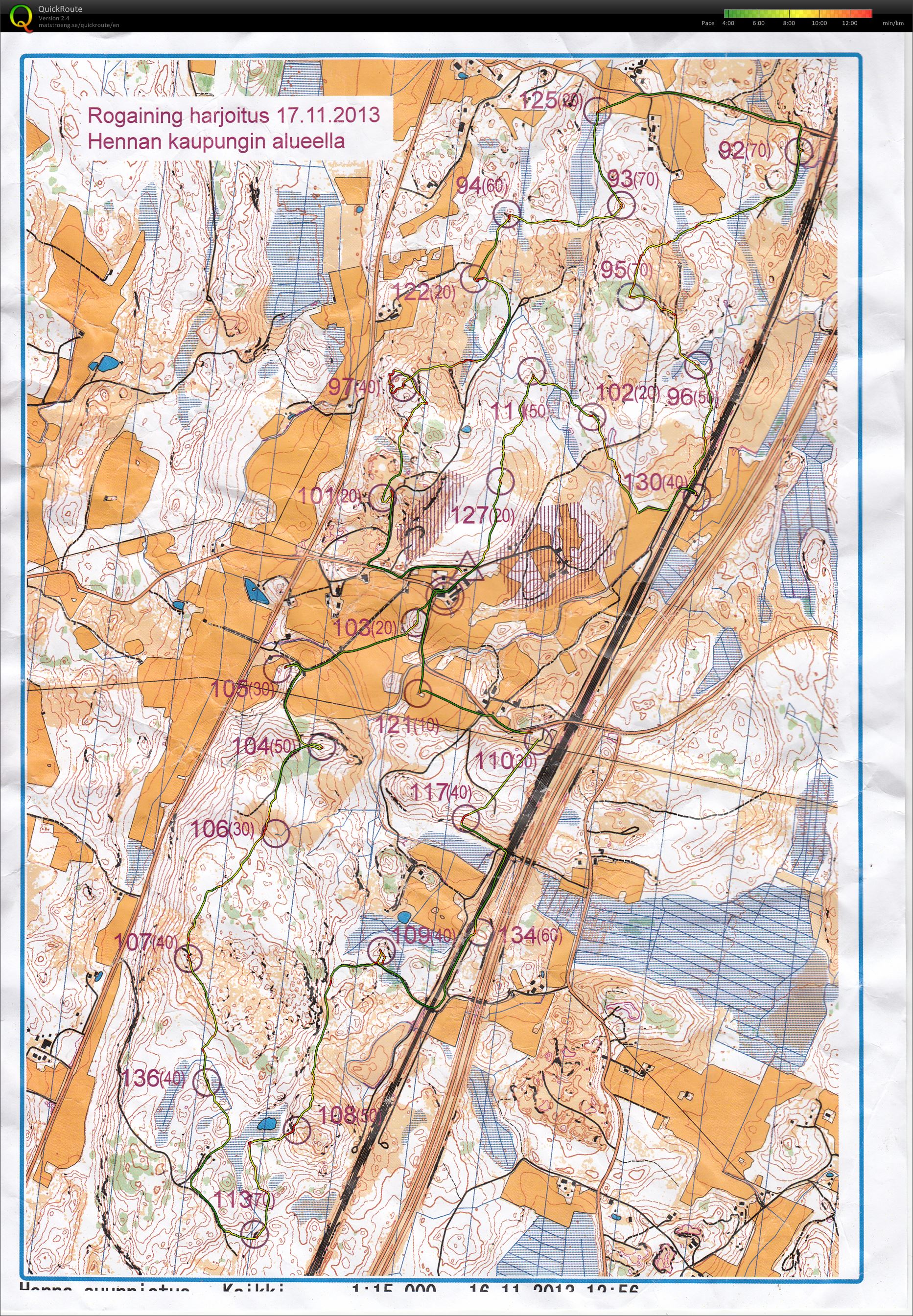 Henna roga (17-11-2013)