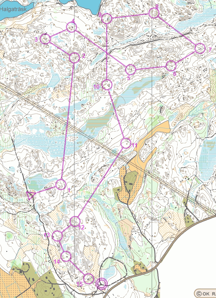 OK Raseborg vårtävling 2014 H40 (12/04/2014)